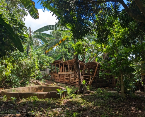 Kaggwa Uganda - Piggery Project 2